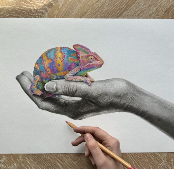 1 daagse workshop Ontdek de Magie van Pastel en Houtskool - Afbeelding 3