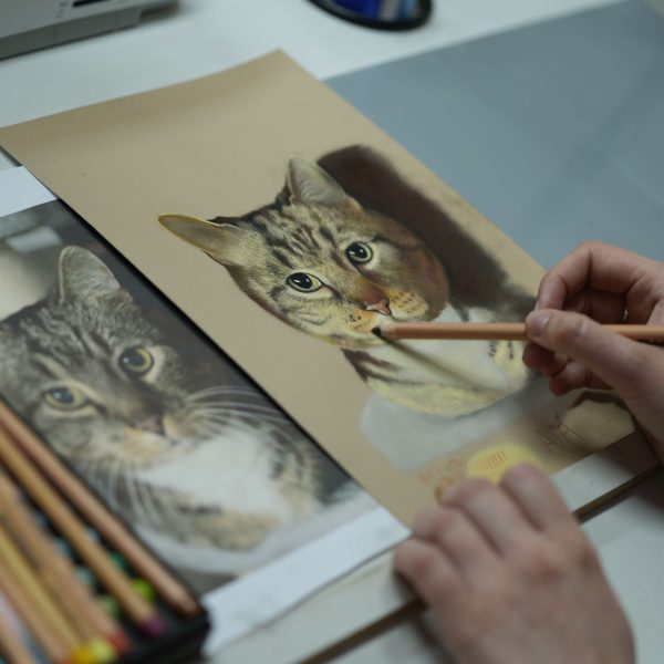 4 daagse teken- en schilderworkshop Gegeven door Amy Verhoeff 3 t/m 6 april 2025